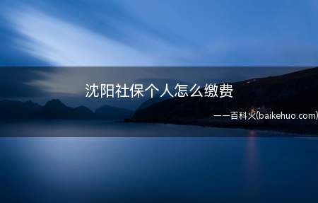 沈阳社保个人怎么缴费（工伤和生育保险申报汇总表）