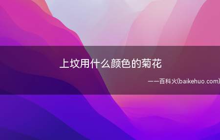 上坟用什么颜色的菊花(上坟一般用黄色或者白色的菊花)