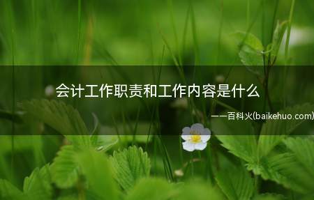 会计工作职责和工作内容是什么(会计工作职责包括进行会计核算)
