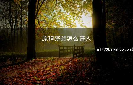 原神密藏怎么进入（《原神》进入密藏的方法）