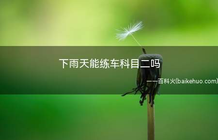 下雨天能练车科目二吗(机动车驾驶证科目二考试增加项目是真的吗)