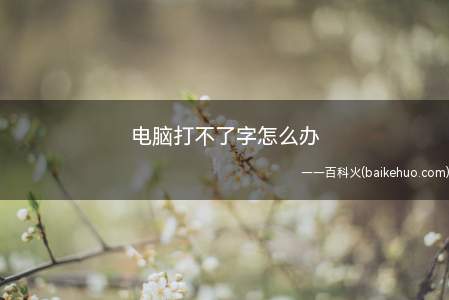 电脑打不了字怎么办(电脑打不出字的解决方法)