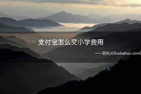 支付宝怎么交小学费用