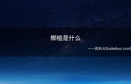榔榆叫小叶榆,是榆科、榆属植物,树形优美,姿态潇洒,树皮斑驳