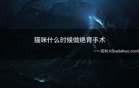猫咪什么时候做绝育手术（猫咪性成熟后必须考虑为其实施绝育手术了）