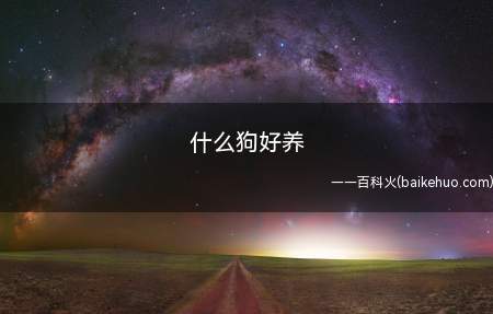 什么狗好养(目前公认比较好饲养的狗狗品种有)