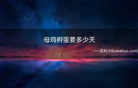 母鸡孵蛋要多少天(母鸡孵蛋需要21天的时间)