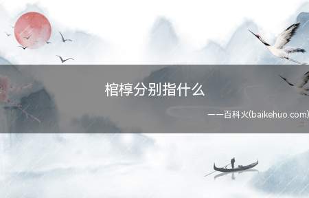 棺椁分别指什么(棺指的是装殓尸体的器具)