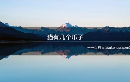 猫有几个爪子(猫有4个爪子,所以猫活动起来相当地灵活,特别会爬树)