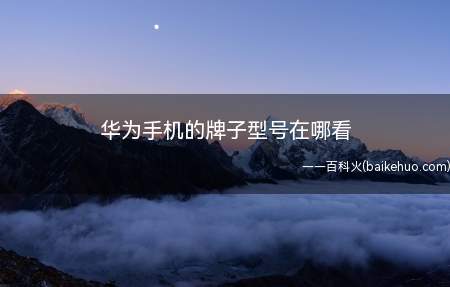 华为手机的牌子型号在哪看（华为手机牌子型号在哪看）