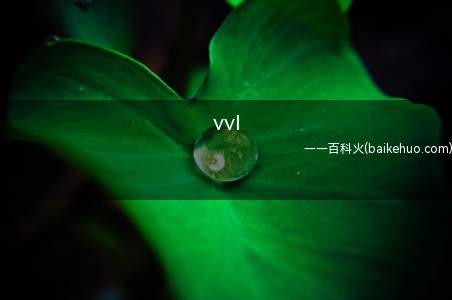 vvl(vvl可变气门升程技术的发动机)