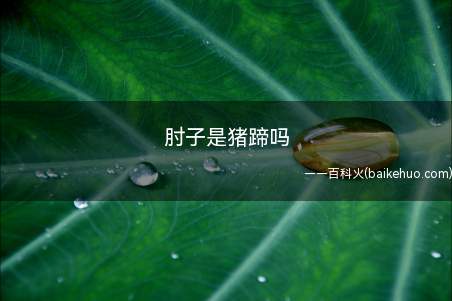 猪肘子的肉多,瘦肉的口感有弹性,而猪蹄肉少,筋多,皮紧