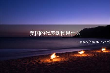 美国的代表动物是什么(美国代表动物是“白头海雕”)