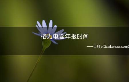 格力电器年报时间(2018年度格力电器财务报表)