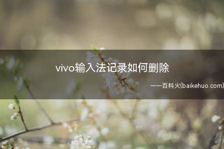 vivo输入法记录如何删除(如何清除手机输入法的词库记忆)