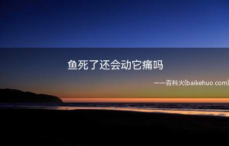 鱼死了还会动它痛吗（鱼死了还会动但是它不会感到痛了）