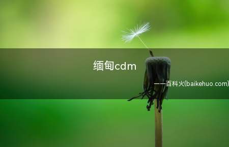 缅甸cdm(缅甸CDM比ATM功能要多)