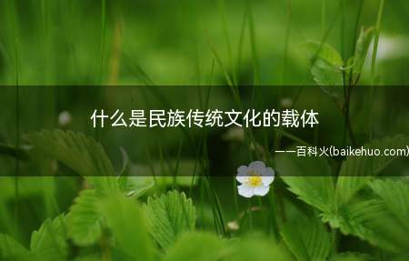 什么是民族传统文化的载体(中国传统文化的最主要特征)