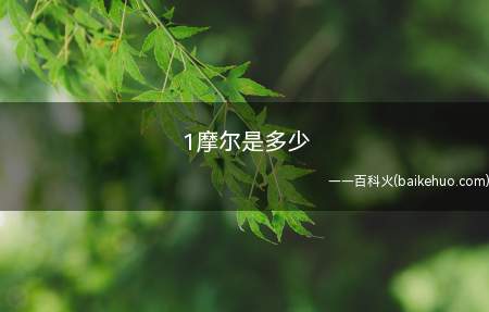 1摩尔是多少(摩尔是精确包含6)