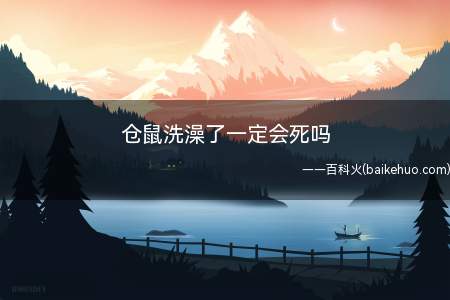 仓鼠洗澡了一定会死吗(仓鼠洗澡了一定会死,洗澡后仓鼠会一会腹泻脱水而死)