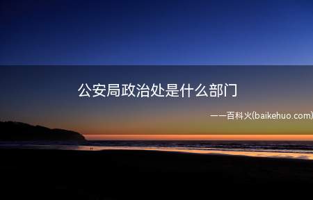 公安局政治处是什么部门（【深圳）
