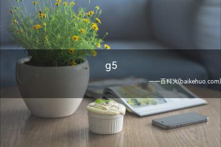 g5(G5超级精英大学的说法)
