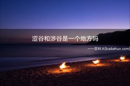 涩谷和涉谷是一个地方吗(涩谷是东京首屈一指的以青少年为对象的商业中心)