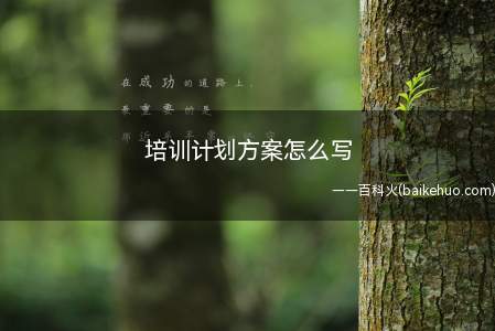 培训计划方案怎么写(企业员工培训计划方案怎么写)