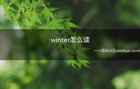 winter怎么读（wintered过去分词）