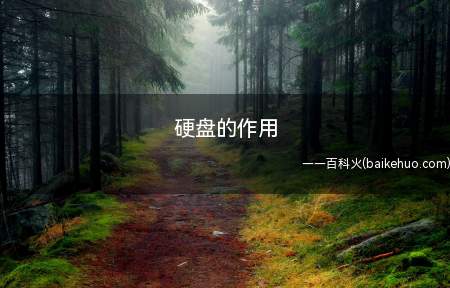 硬盘的作用(硬盘的作用介绍【详解】)