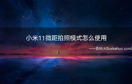 小米11微距拍照模式怎么使用(小米11如何拍出好看的微距照片)