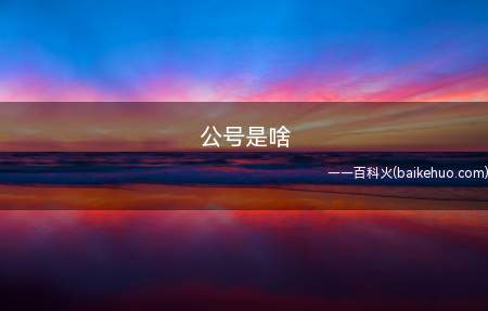 公号是啥(个人主体注册公众号数量上限由50个调整)