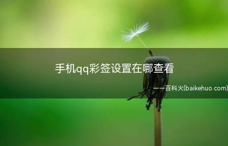 手机qq彩签设置在哪查看