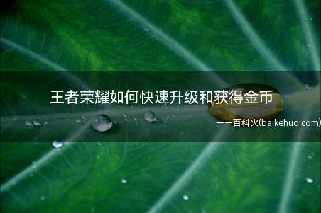 王者荣耀如何快速升级和获得金币(王者农药怎么快速获取金币)