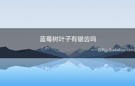 蓝莓树叶子有锯齿吗（矮丛蓝莓叶片很少有绒毛）