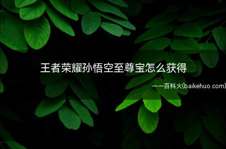 王者荣耀孙悟空至尊宝怎么获得