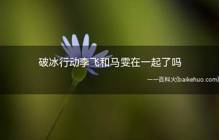 破冰行动李飞和马雯在一起了吗(李飞和马雯应该是友情吗)