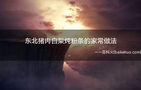 东北猪肉白菜炖粉条的家常做法(东北猪肉白菜炖粉条的做法)