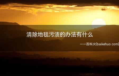 清除地毯污渍的办法有什么