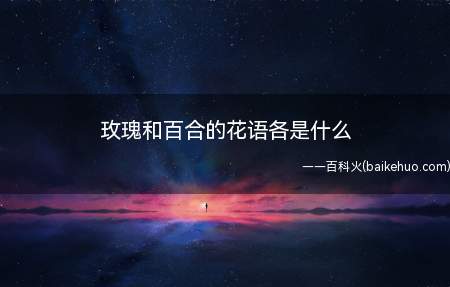 玫瑰和百合的花语各是什么（玫瑰象征着爱情,它的花语就是爱情）