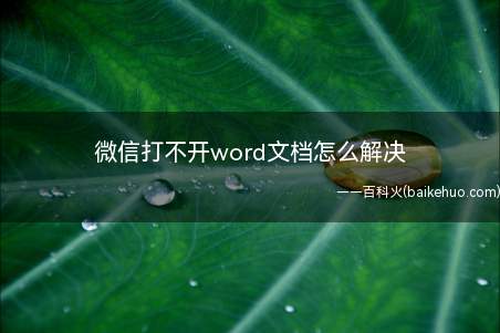 微信打不开word文档怎么解决(华为p40pro)