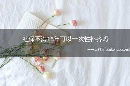 社保不满15年可以一次性补齐吗(养老保险能一次性补齐吗)