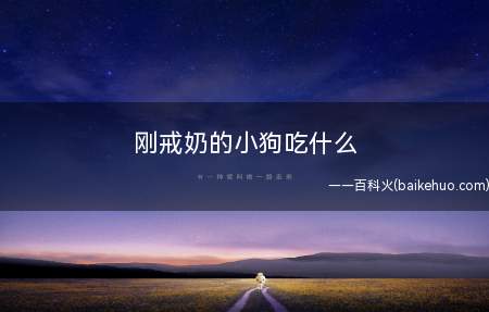 刚戒奶的小狗吃什么(断奶后的小狗要吃能够满足这个时期所需要的营养)