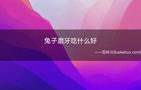 兔子磨牙吃什么好(兔子磨牙主要是依靠各种粗纤维的食物来进行磨牙)