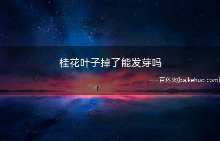 桂花叶子掉了但若枝干和根系还很健壮就可发芽,不用太担心,悉心