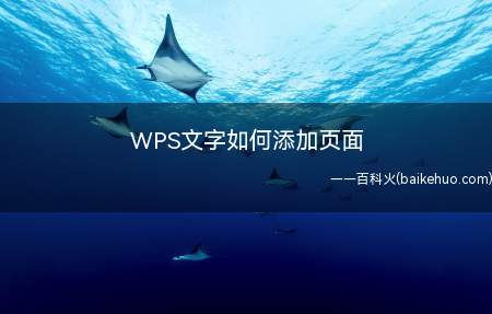 WPS文字如何添加页面
