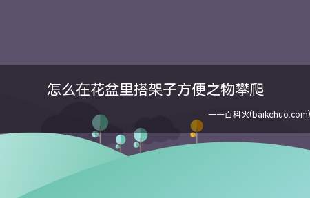 怎么在花盆里搭架子方便之物攀爬(花盆里做植物架子的方法)