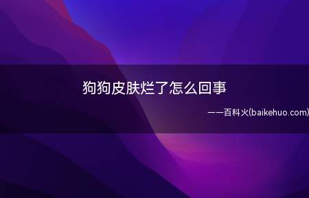 狗狗皮肤烂了怎么回事(皮肤烂了先到医院检查有没有外伤)