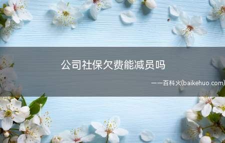 公司社保欠费能减员吗(员工离职后要在下月及时做社保减员)