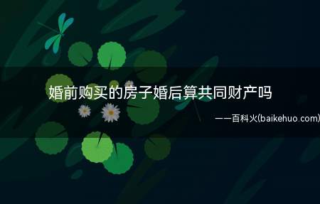 婚前购买的房子婚后算共同财产吗（下列财产为夫妻一方的个人财产）